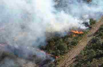  Com incêndios, bombeiros registraram aumento de 10% no total de ocorrências em 2024